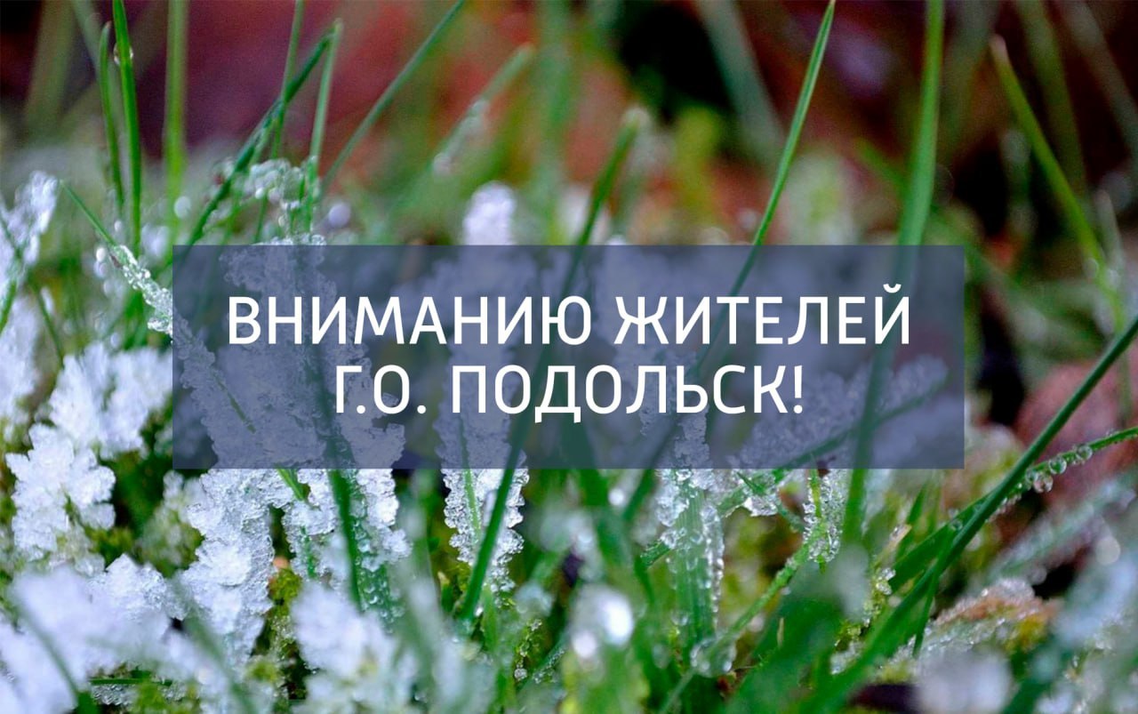 Жителей Подольска предупредили о майских заморозках Жителей Подольска предупредили о майских заморозках