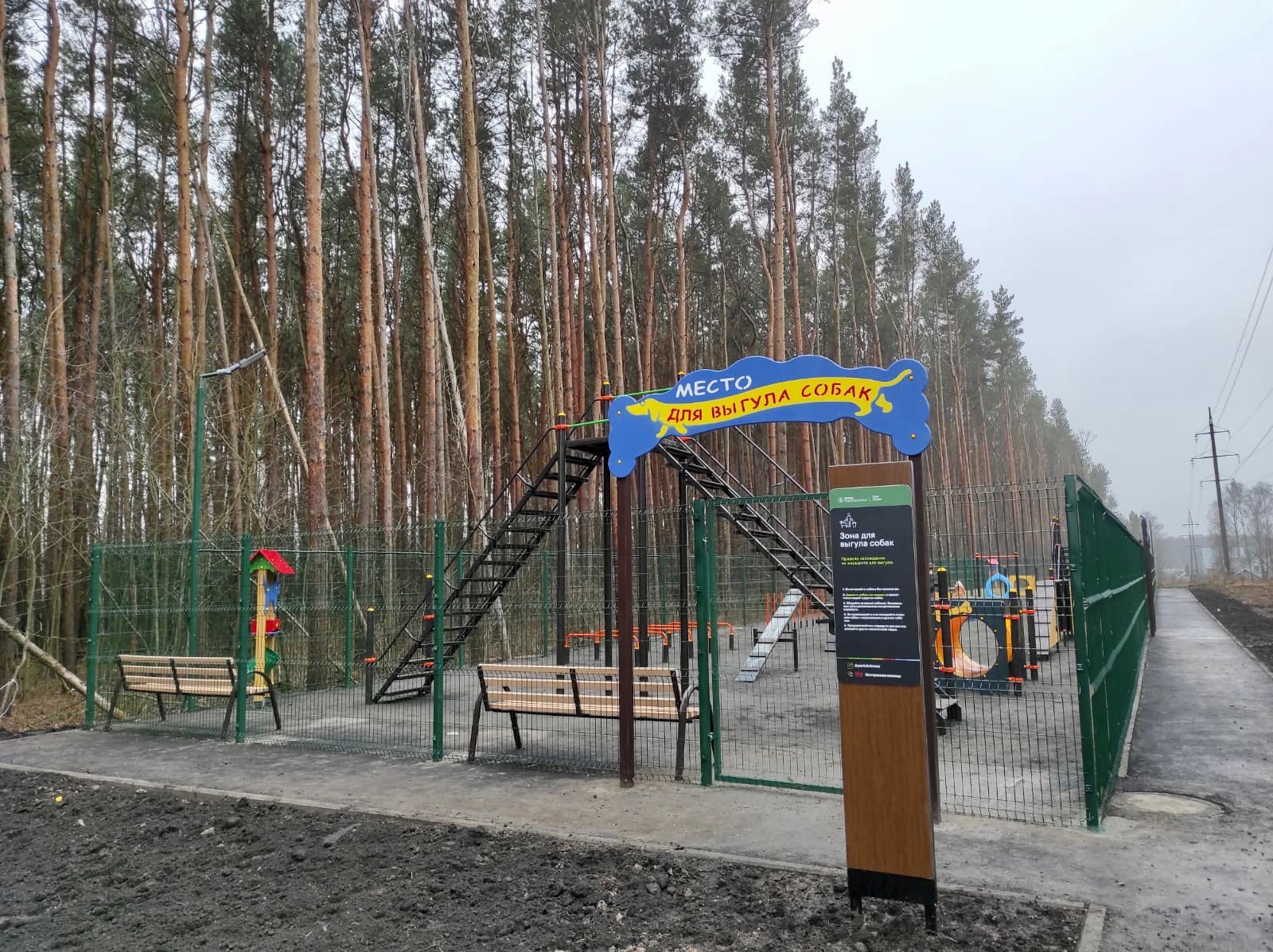 Площадок для выгула собак станет больше Площадок для выгула собак станет больше