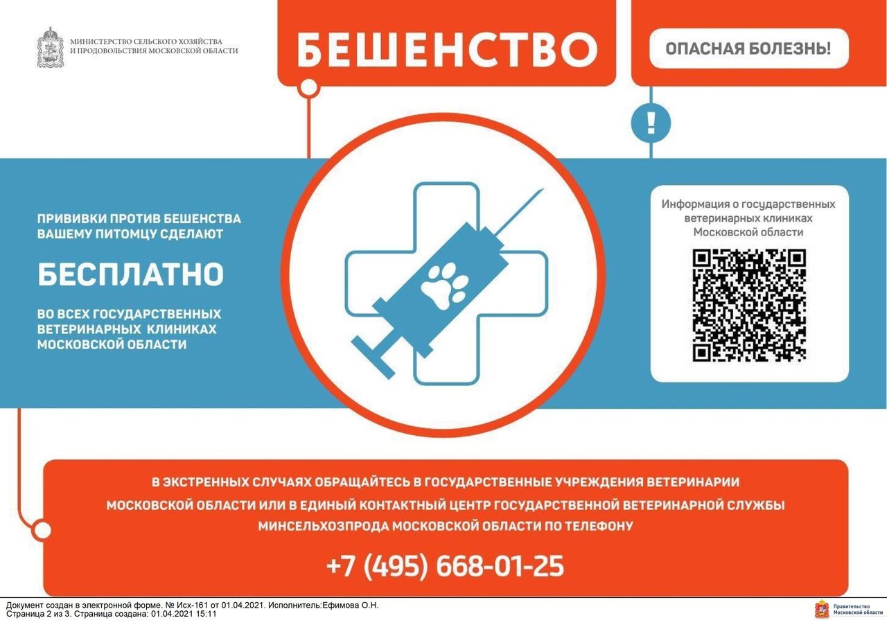 Привейте животных от бешенства!