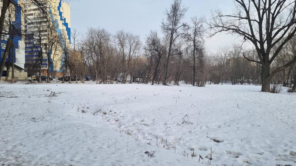 Земельный участок на месте снесенной туберкулезной больницы передали под сквер Земельный участок на месте снесенной туберкулезной больницы передали под сквер