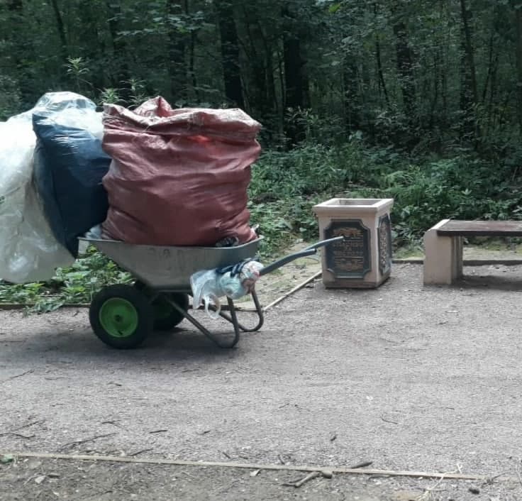 Субботник в "Ёлочках"