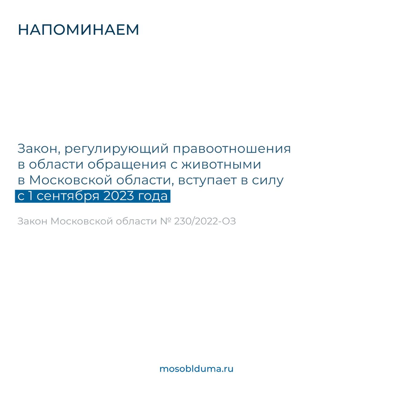 Правила выгула домашних животных уточнили в Подмосковье