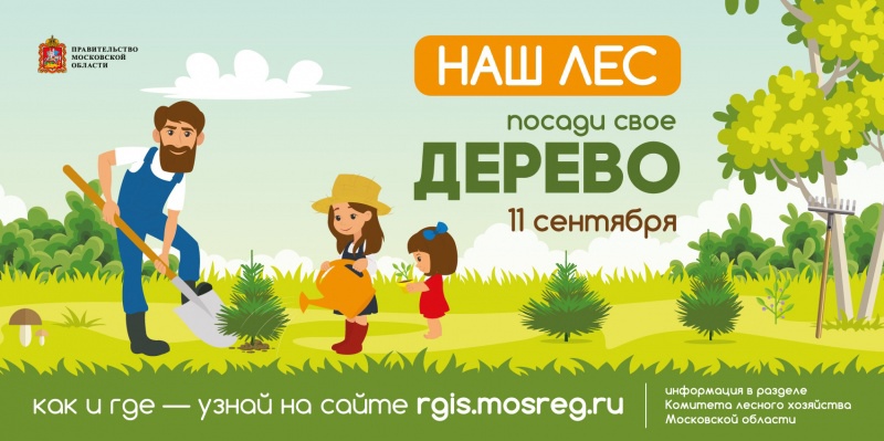 В Подмосковье в сентябре традиционно проходит акция «Наш лес. Посади свое дерево»