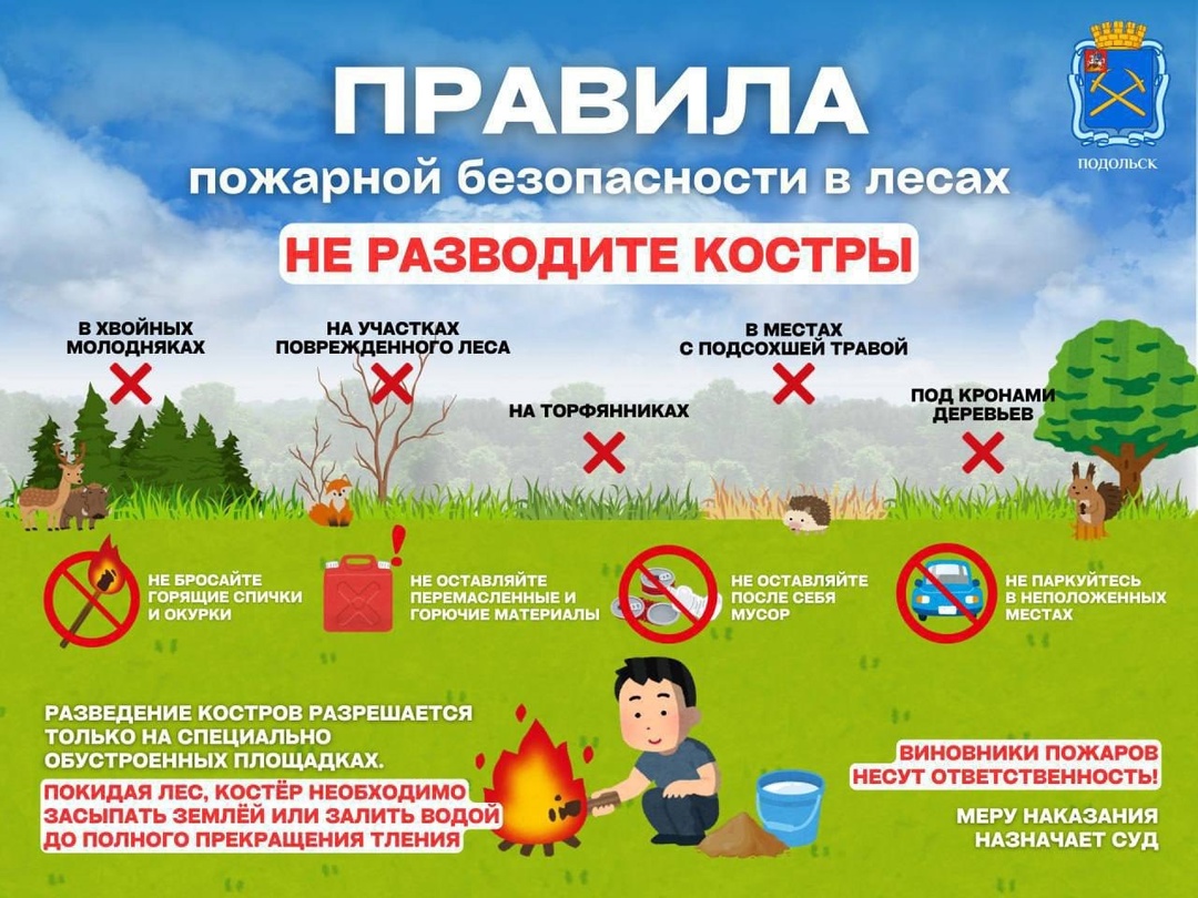 Помните о правилах пожарной безопасности в лесах!