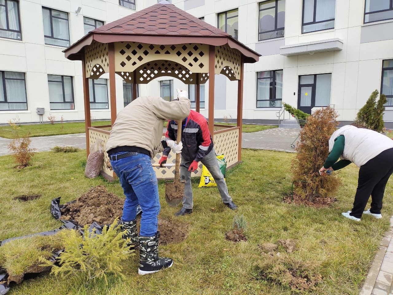 Помогли школе в озеленении