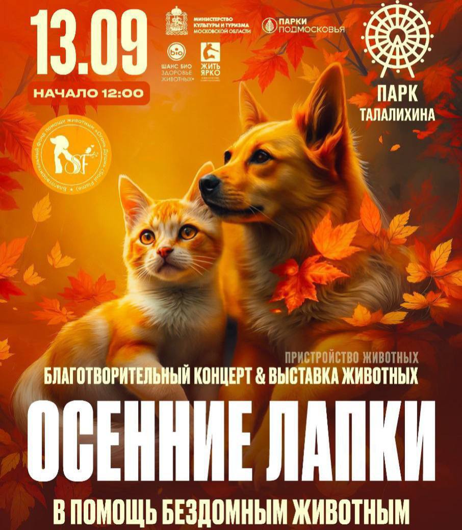 Выбрать себе домашнего любимца можно будет на выставке в парке