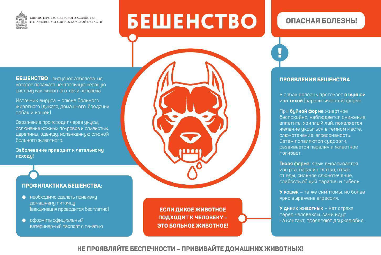 Лабораторно подтвержден случай бешенства домашней собаки в деревне Бородино в Подольске