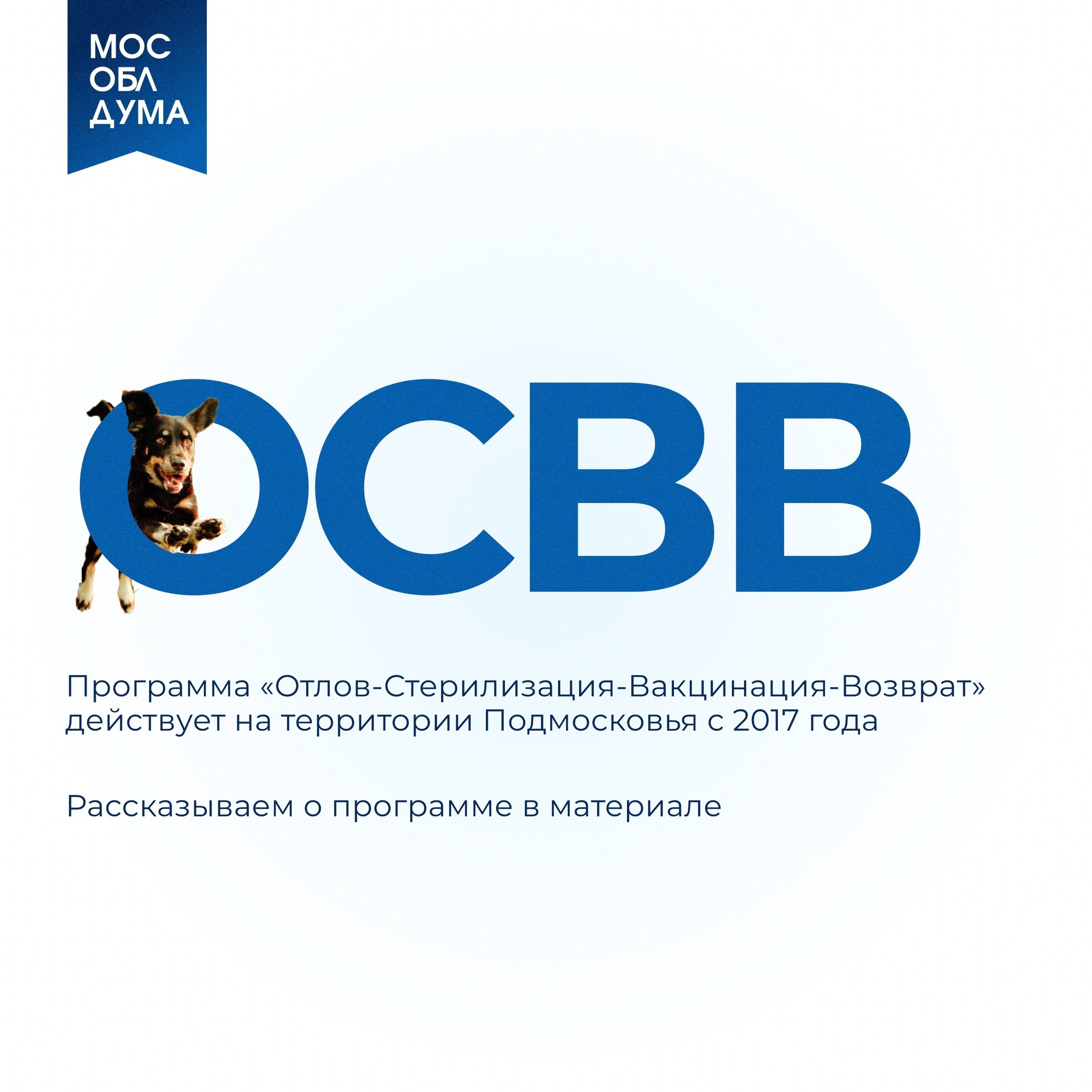 В Подмосковье на программу по регулированию безнадзорных животных в 2023 году выделено 218 млн рублей