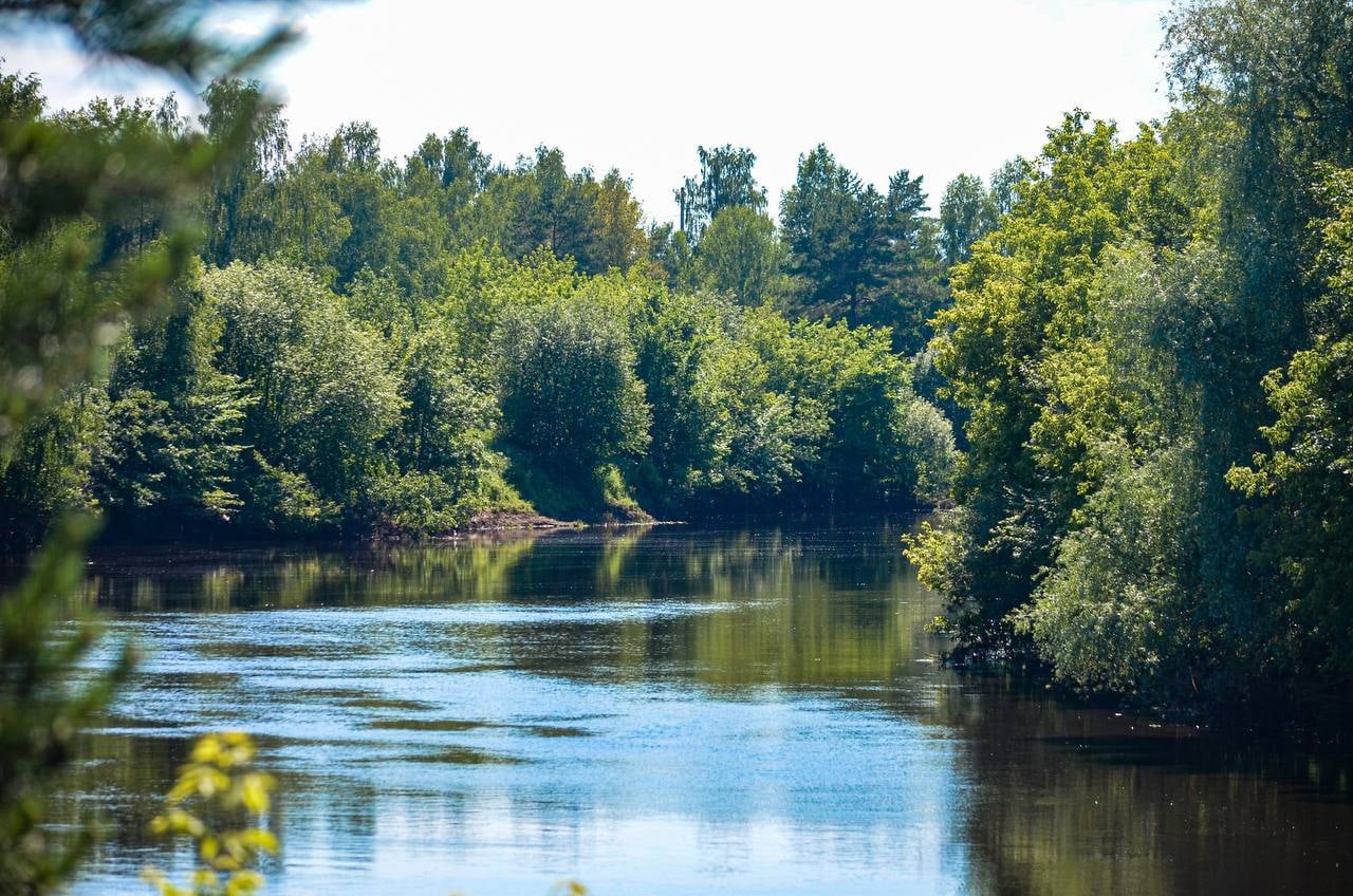 Чтобы сохранить для людей места отдыха, в Подмосковье выявляют зеленые зоны, где будет запрещено строительство