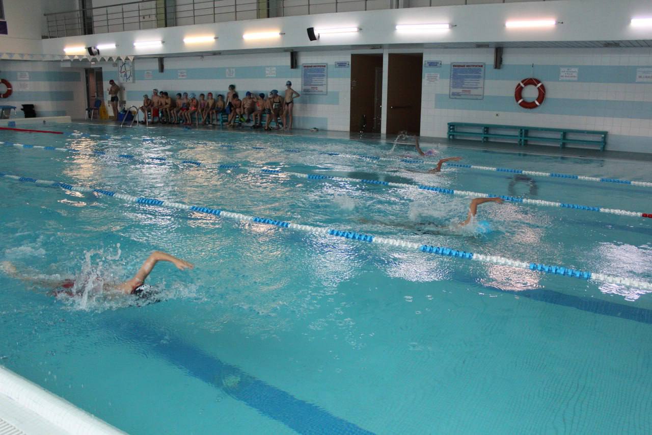 Кубок Подольска по плаванию приурочили ко Дню города