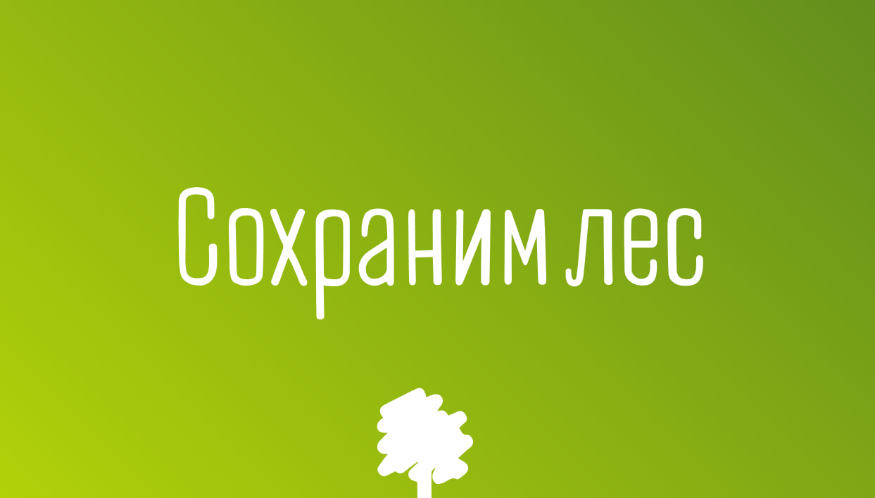 Акцию по высадке саженцев проведут в сквере 200-летия города Подольска