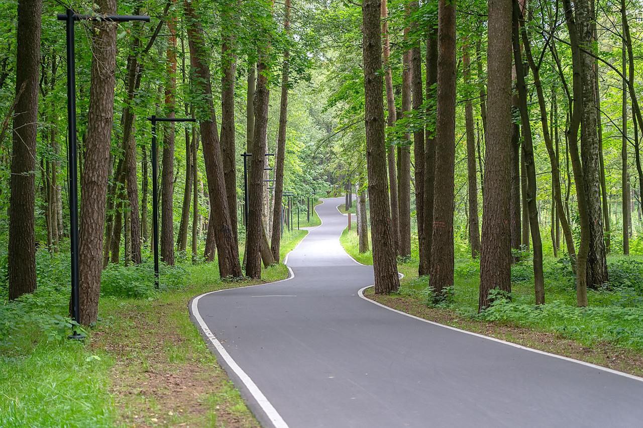 В «Дубровицком лесу» теперь есть пространство для прогулок