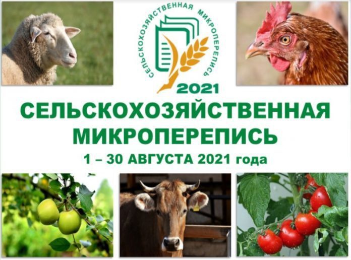 Адреса и телефоны инструкторских участков по проведению сельскохозяйственной микропереписи-2021 в Подольске
