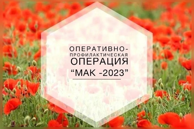 В Подольске идет оперативно-профилактическая операция «Мак - 2023»