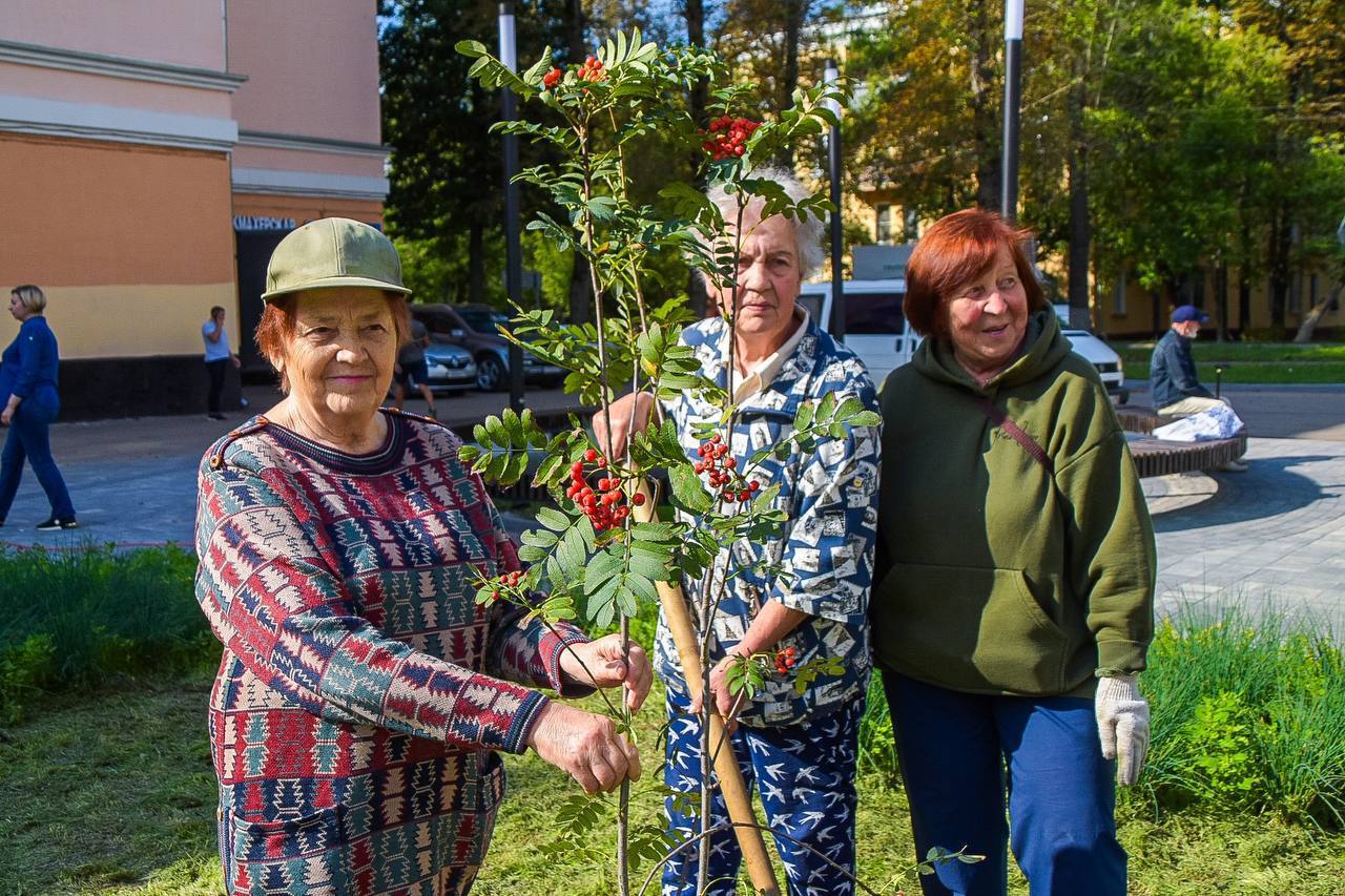 В новом климовском сквере посадили деревья