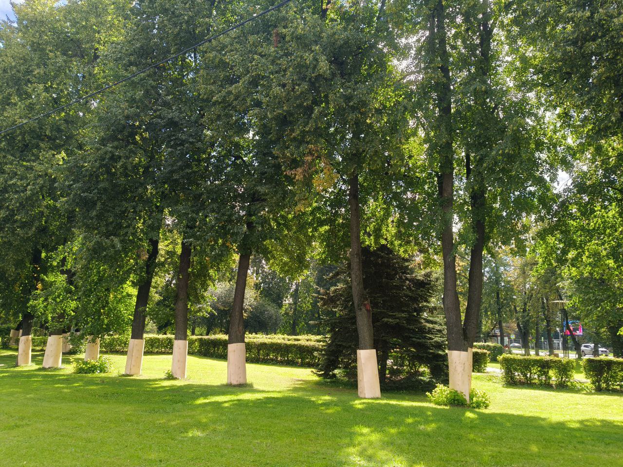 В сквере за памятником Ленину возродится фонтан