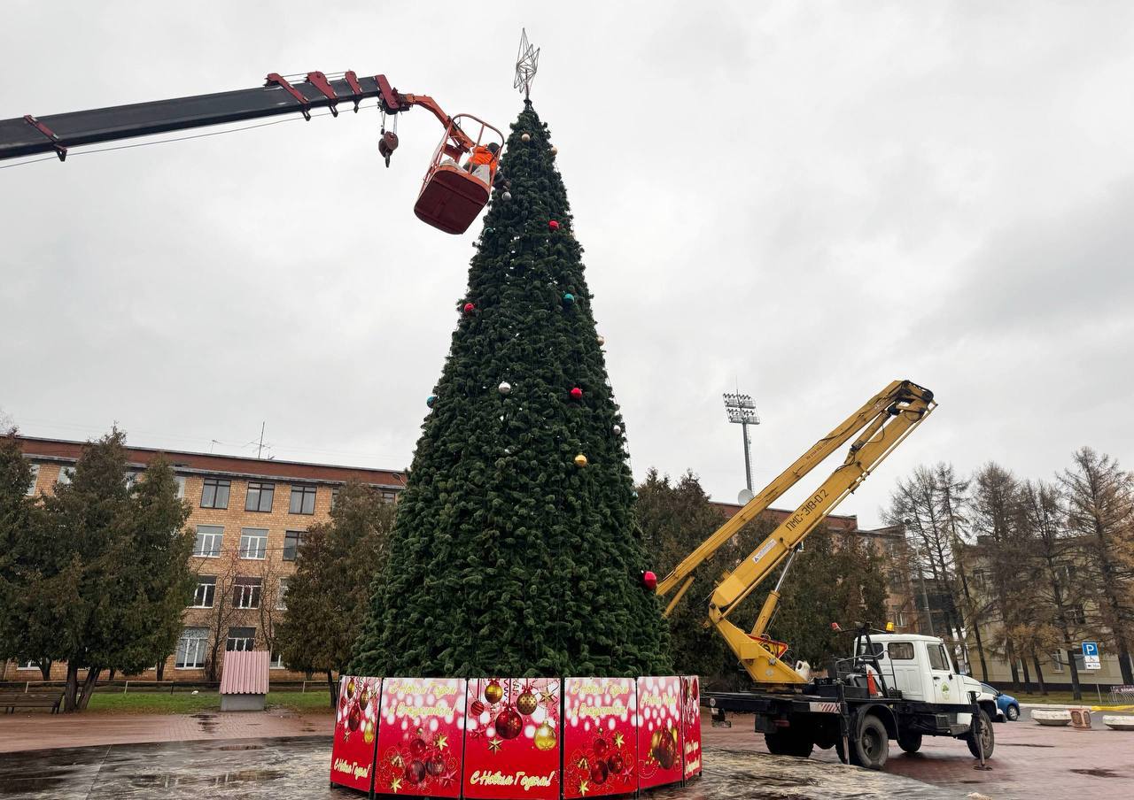 Новогодние ели постепенно устанавливают в Подольске Новогодние ели постепенно устанавливают в Подольске