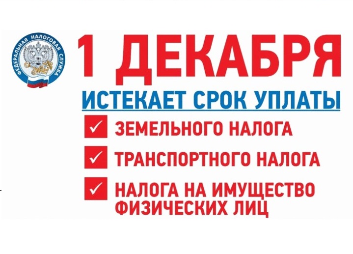 Оплатите налоги до 1 декабря!