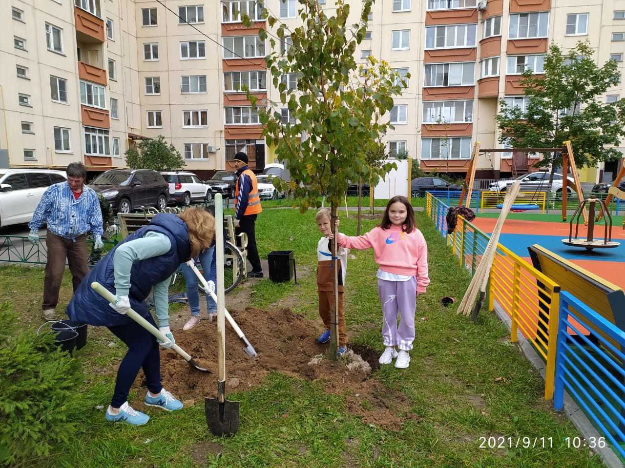 Акция «Наш лес. Посади своё дерево прошла в Климовске