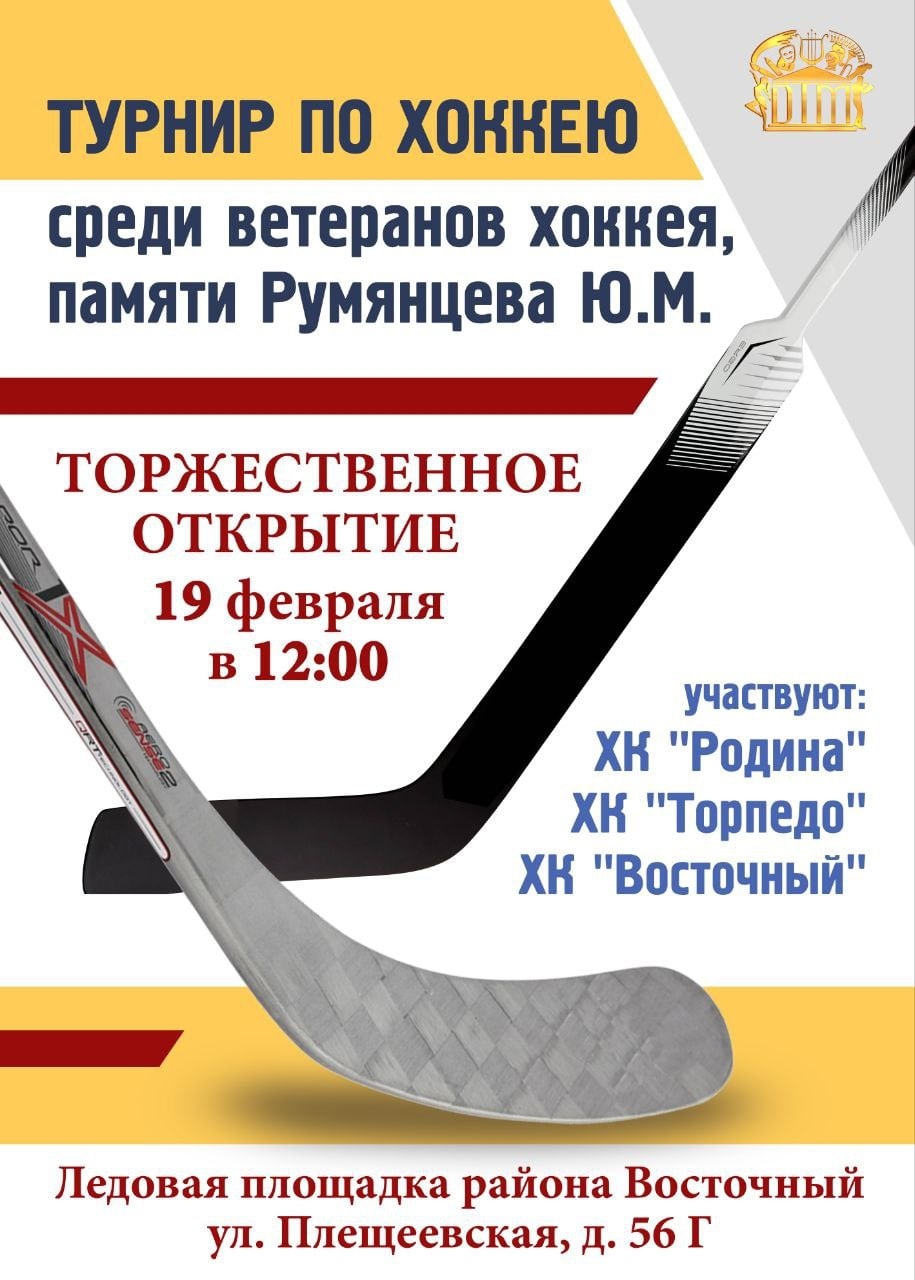 Турнир по хоккею среди ветеранов памяти Ю. М. Румянцева