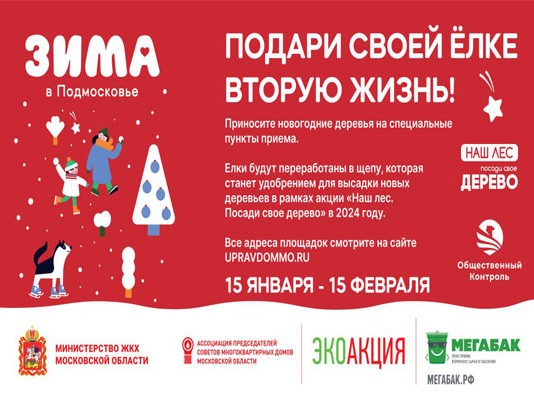 Новогодние ели можно сдать на переработку