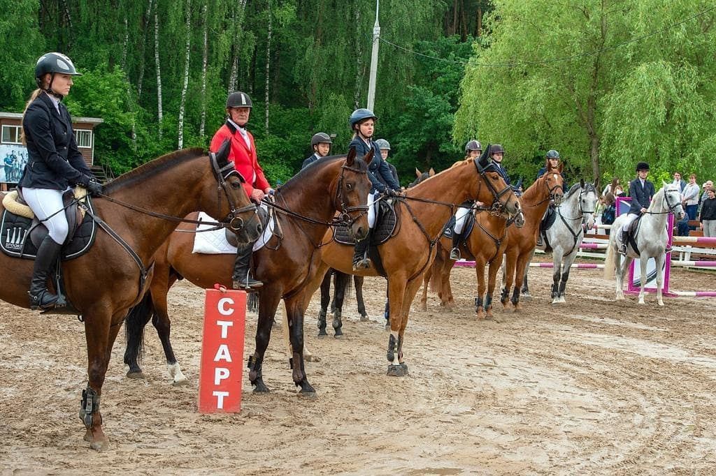 Фавориты на сегодня. Фк фаворит. Калачинск ипподром. Москов мобайл легенд закуп. Фавориты на сегодня.