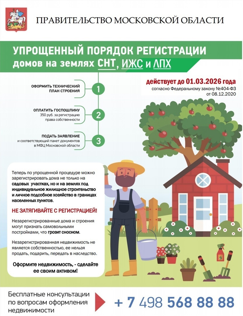 Дачная амнистия