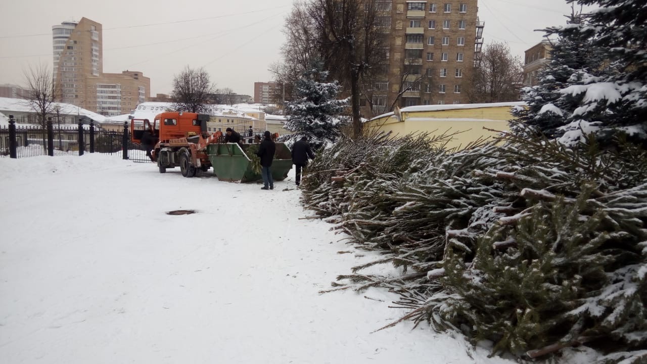 Подольчане охотно принимают участие в акции «Подари вторую жизнь своей елке»
