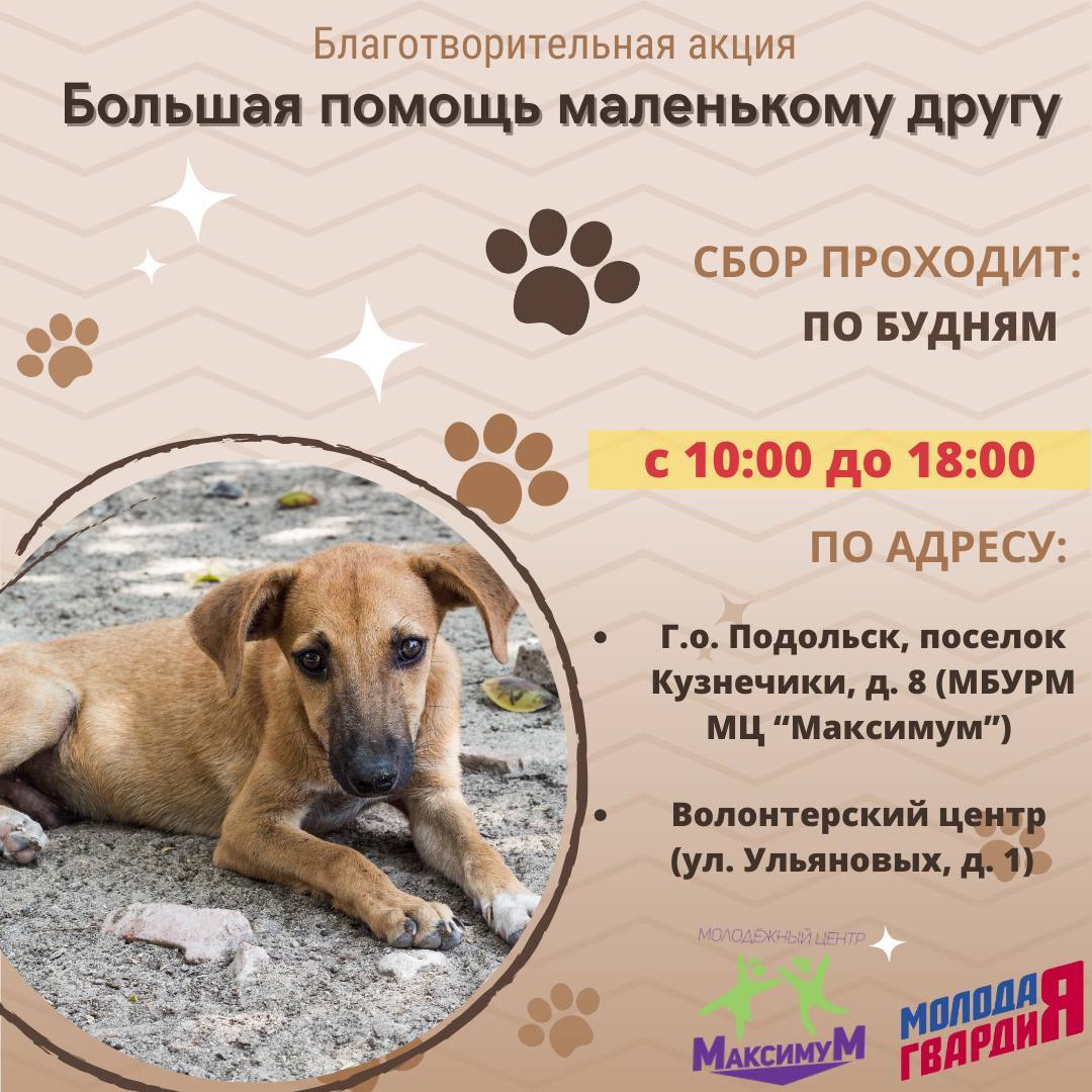 В Подольске проходит акция в помощь животным из приютов