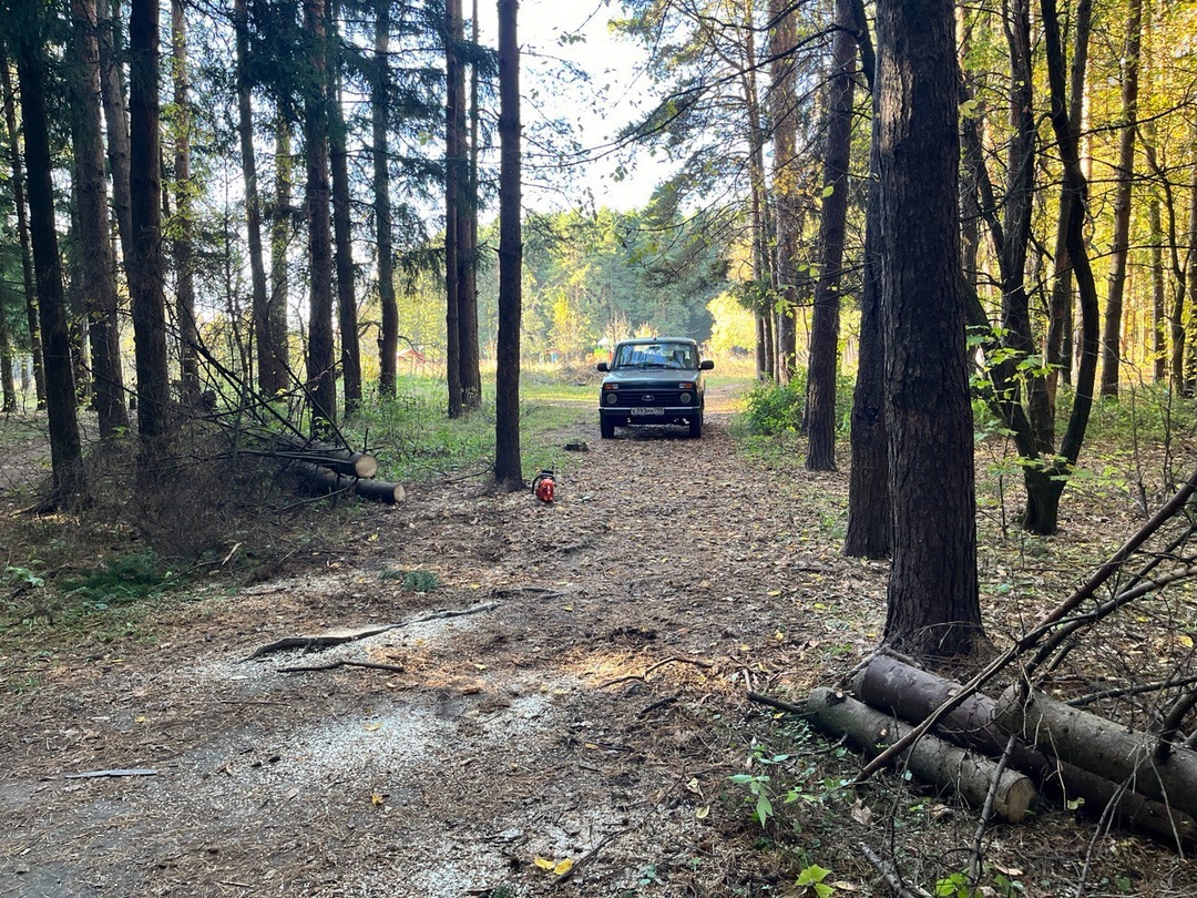 Источник: Комитет лесного хозяйства МО,  vk.com/mosoblkomles