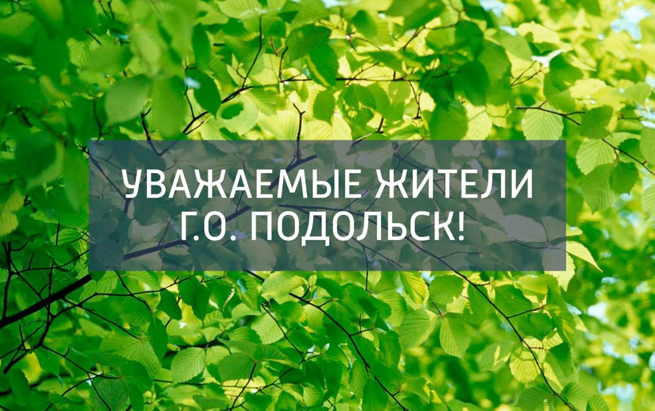 О работах в лесопарке "Дубки"