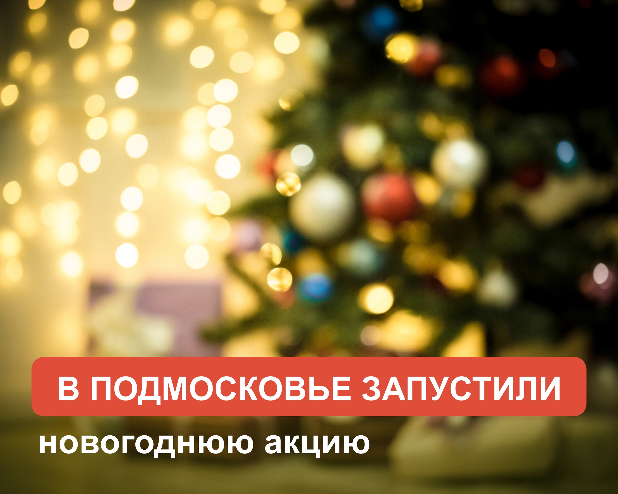 В Подмосковье стартовала новогодняя акция #МойбизнесПомогает
