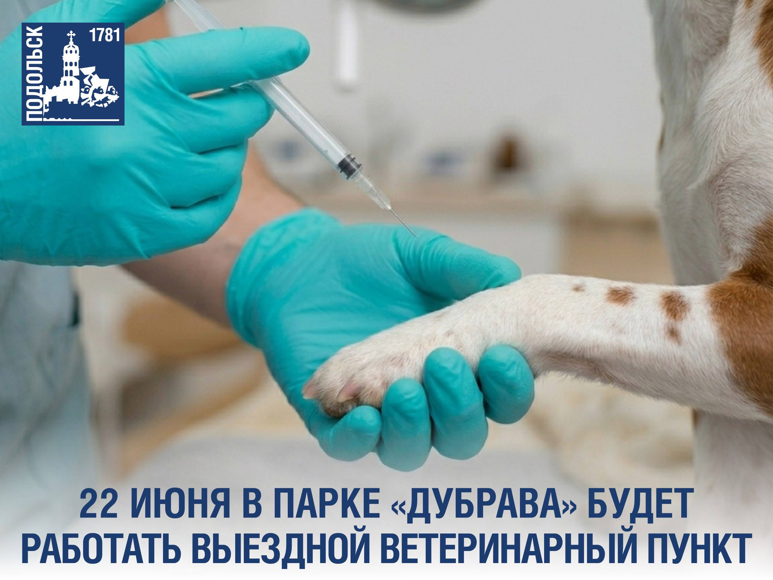 Выездные государственные ветпункты продолжают работать в скверах и парках Подольска Выездные государственные ветпункты продолжают работать в скверах и парках Подольска