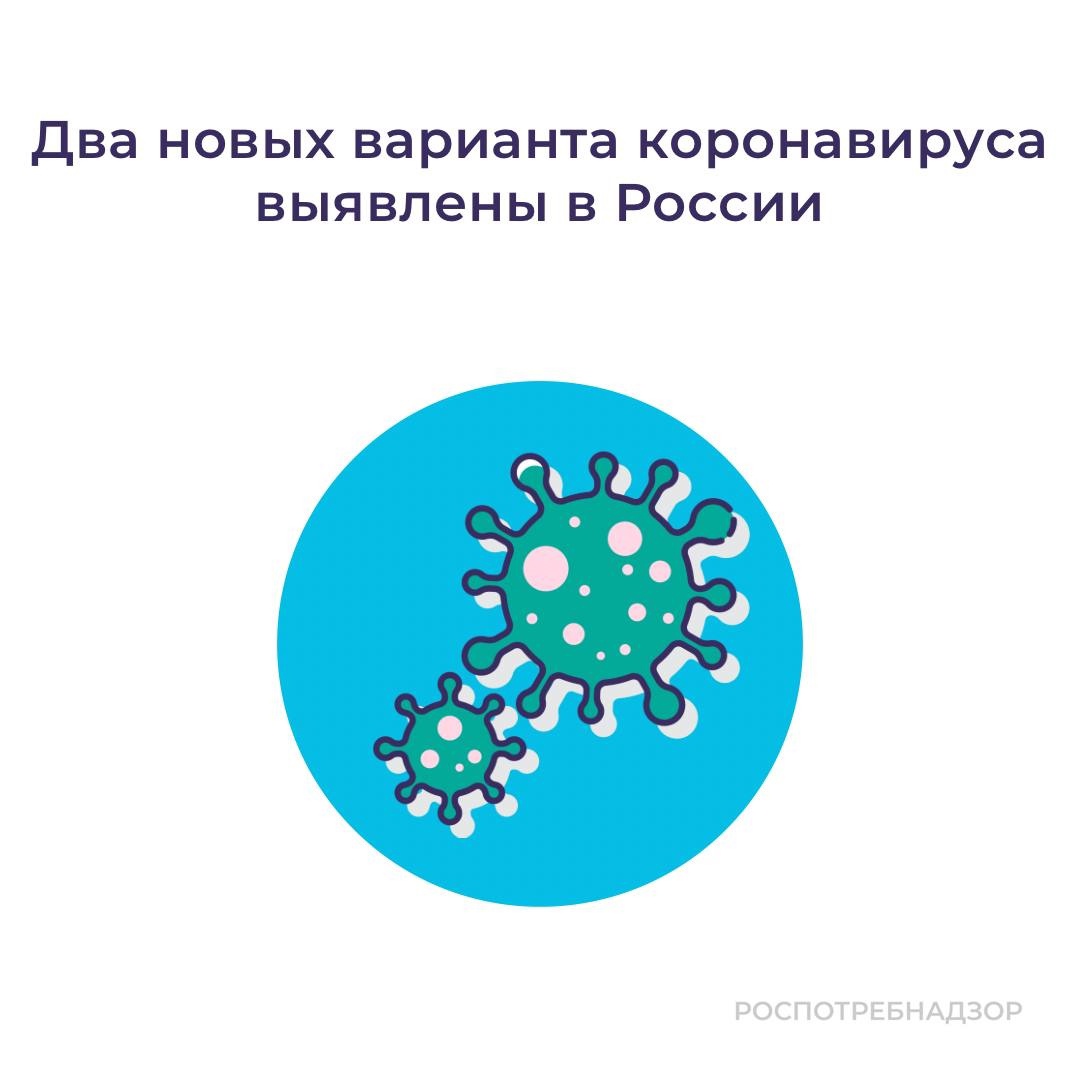 В Россию пришли новые геноварианты коронавируса – BQ.1 и BQ 1.1 («Цербер»)