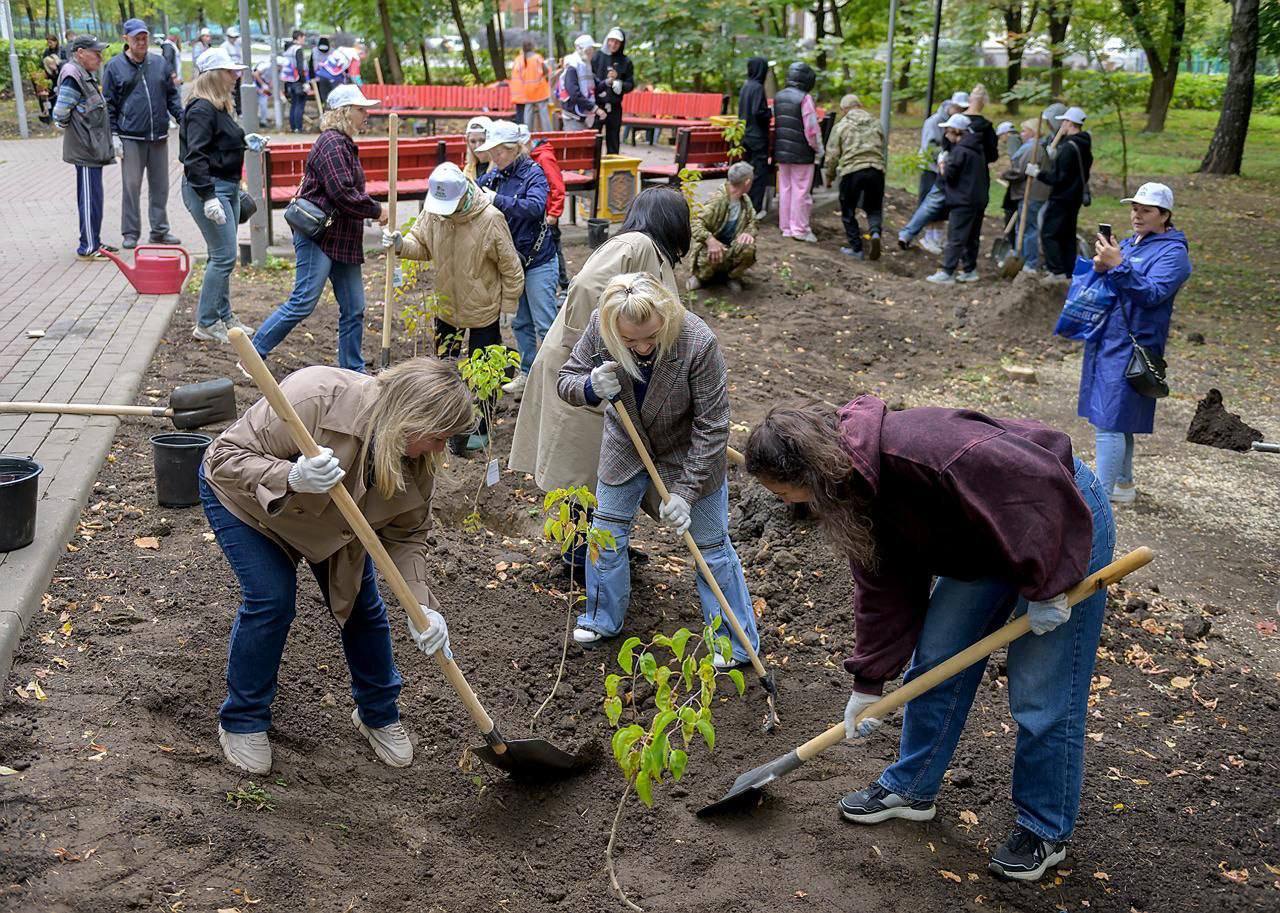 В сквере перед Домом культуры ЗиО в Подольске провели озеленение