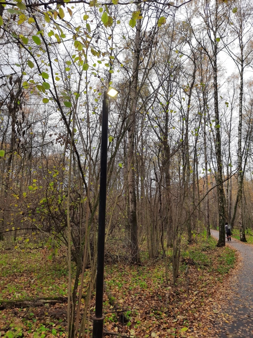 Восстановлено освещение на тротуаре к станции после хулиганских действий
