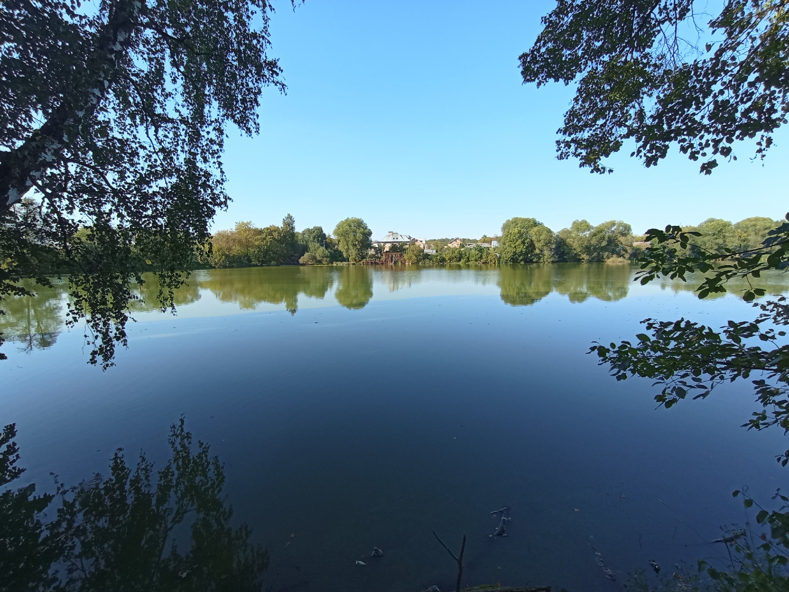 Пруд в поселке МИС в Подольске очистят, если он станет лидером голосования