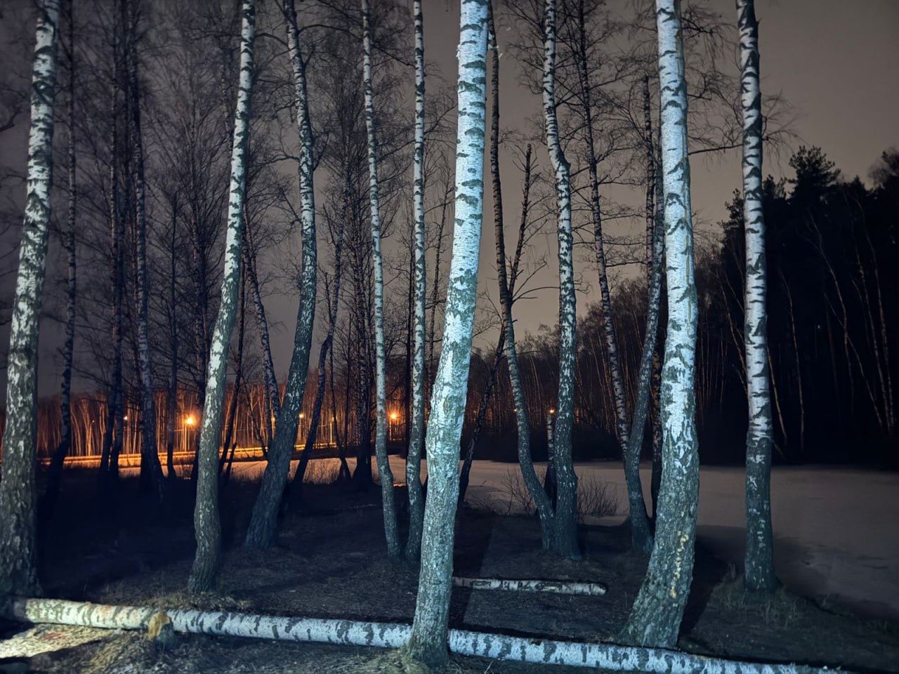 Источник: t.me/gsuskmosobl