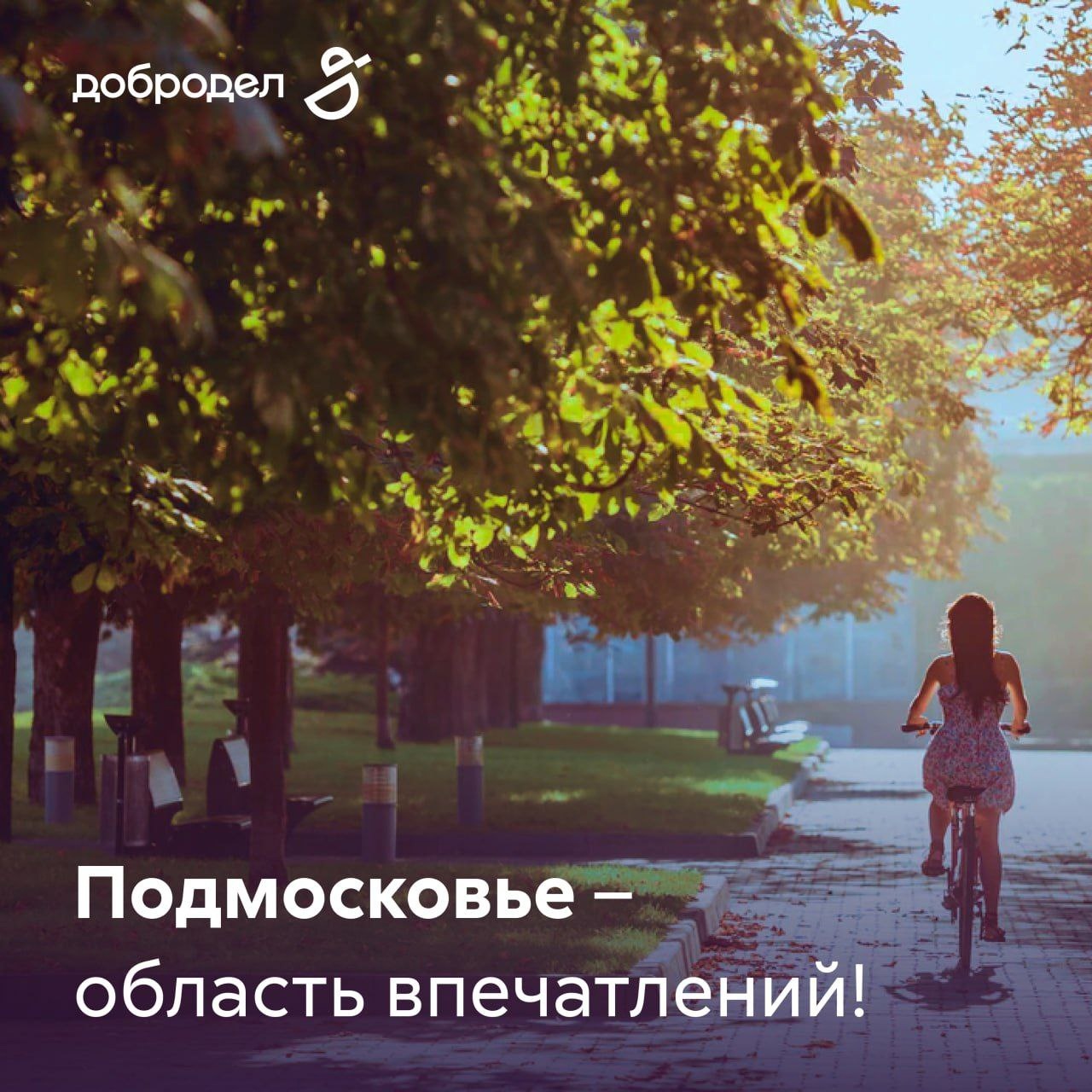 Где отдохнуть в Подмосковье в выходные? Где отдохнуть в Подмосковье в выходные?