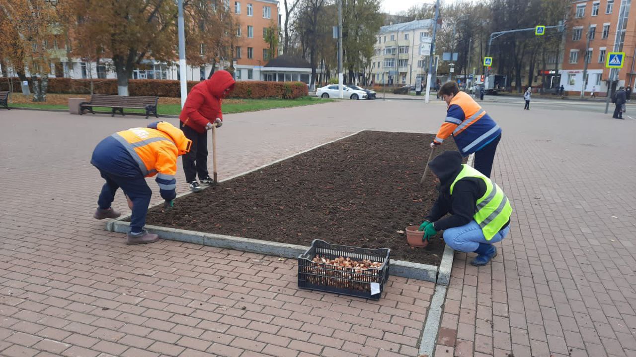 Более 120 000 цветов распустятся весной на муниципальных клумбах Подольска