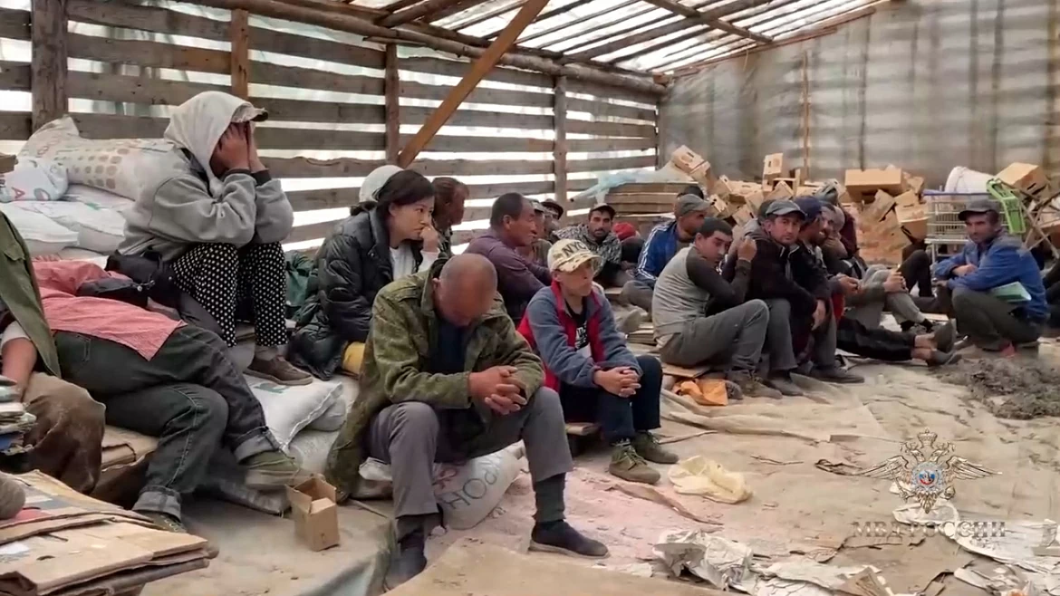 Нелегальные мигранты трудились в сотне теплиц на окраине Подольска