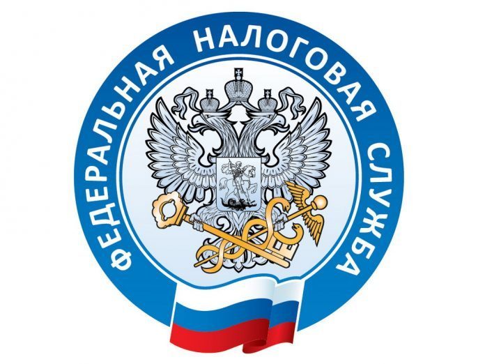 Декларационная кампания 2024 года начнется 1 января