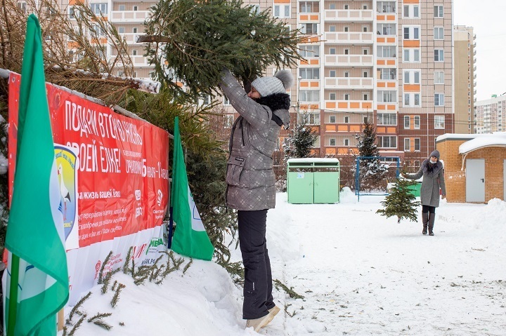 В Подольске жители активно принимают участие в акции «Подари вторую жизнь своей елке»