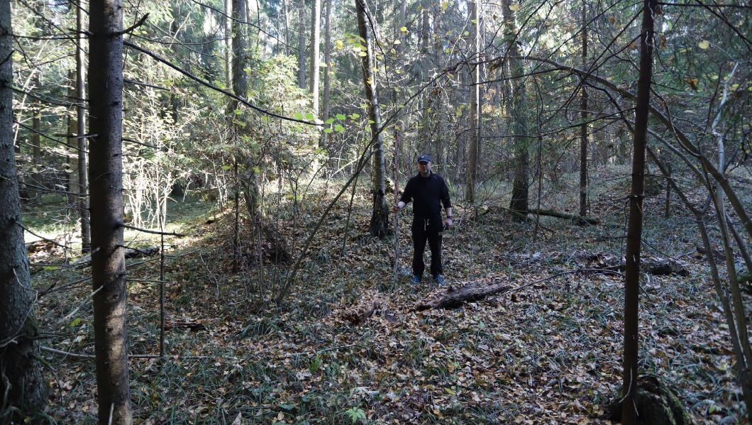 Курганы у подольской деревни стали археологическим объектом