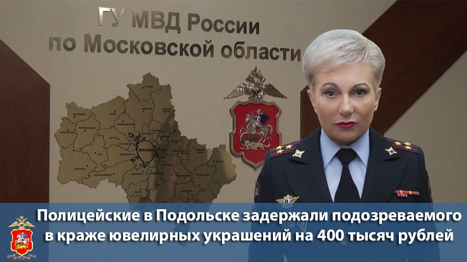 Раскрыта кража из частного дома в Подольске