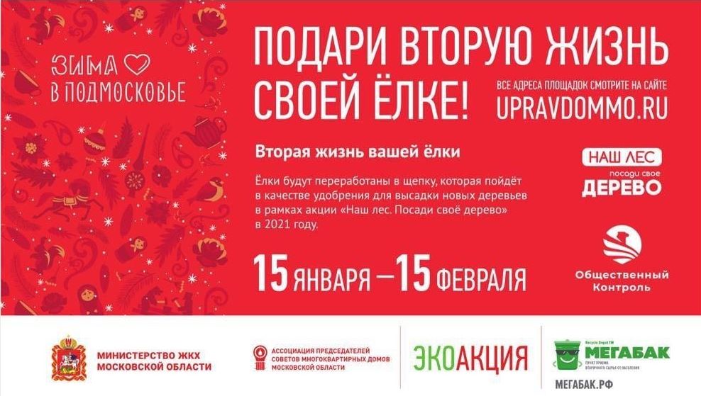 В Подольске с 15 января по 15 февраля будут работать пункты приема новогодних елок