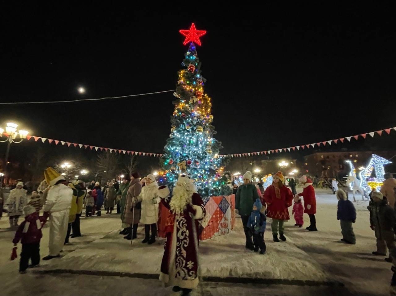 В Детском парке прошло праздничное зажжение новогодней ёлки