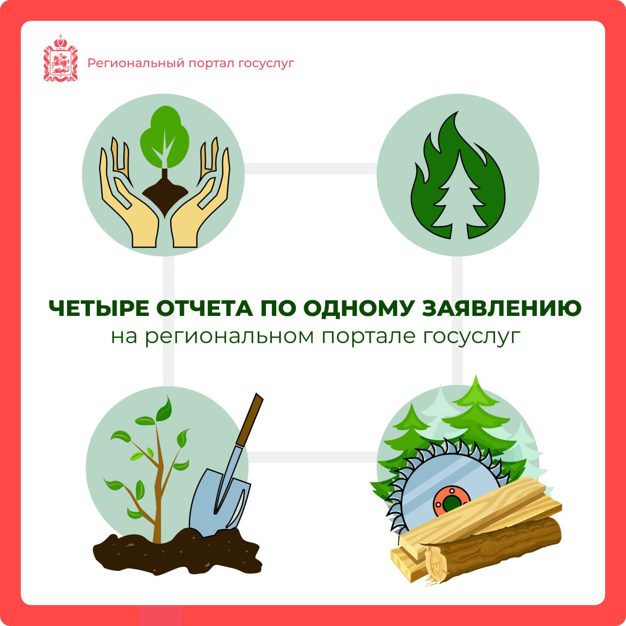 Одно заявление = четыре лесных отчета