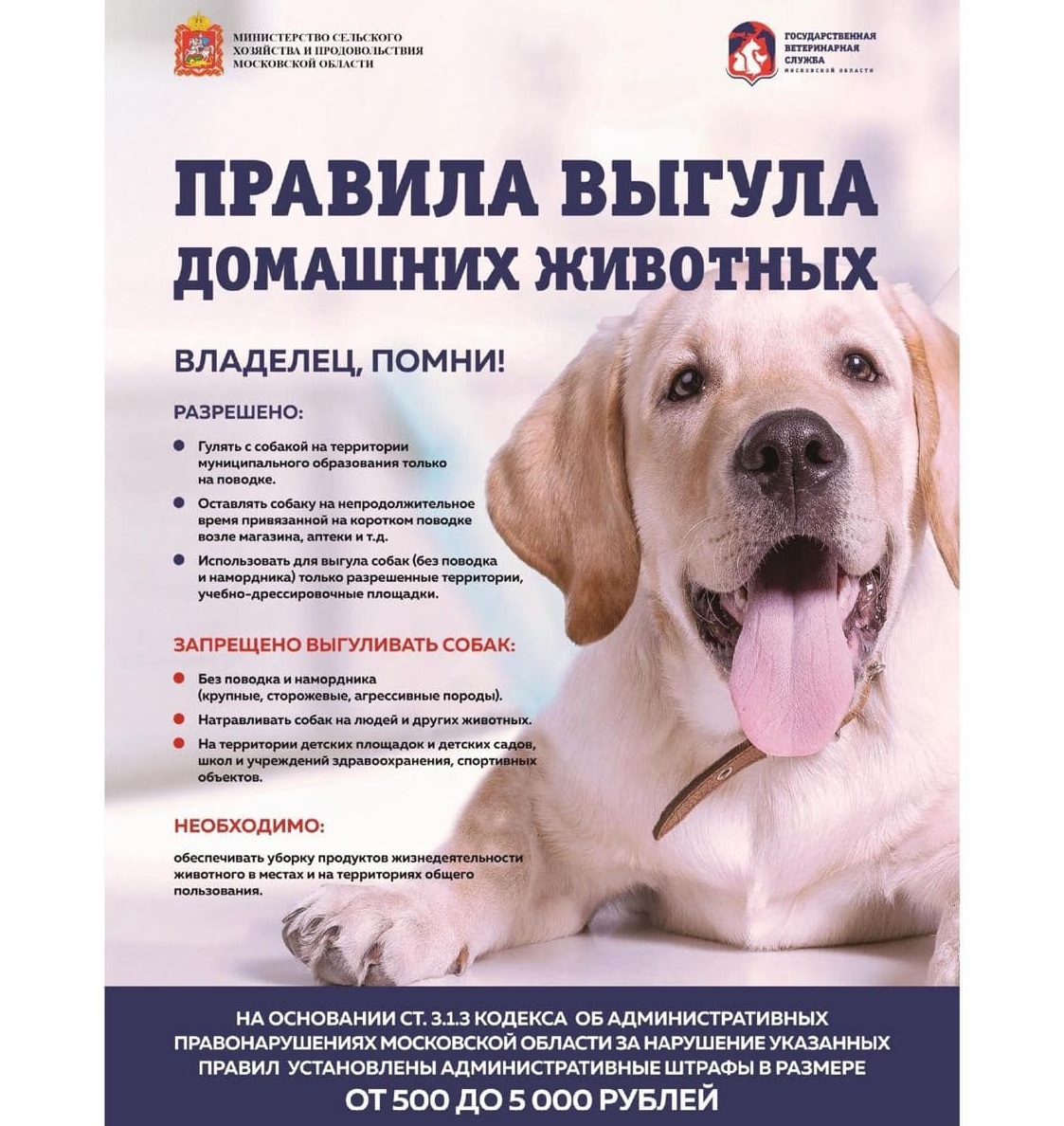 Новые штрафы за выгул собак без намордника рассмотрят в госдуме. Штрафы за выгул собак 2024. Штрафы за выгул собак 2024. Штраф за выгул собак. Табличка о запрете выгула собак.