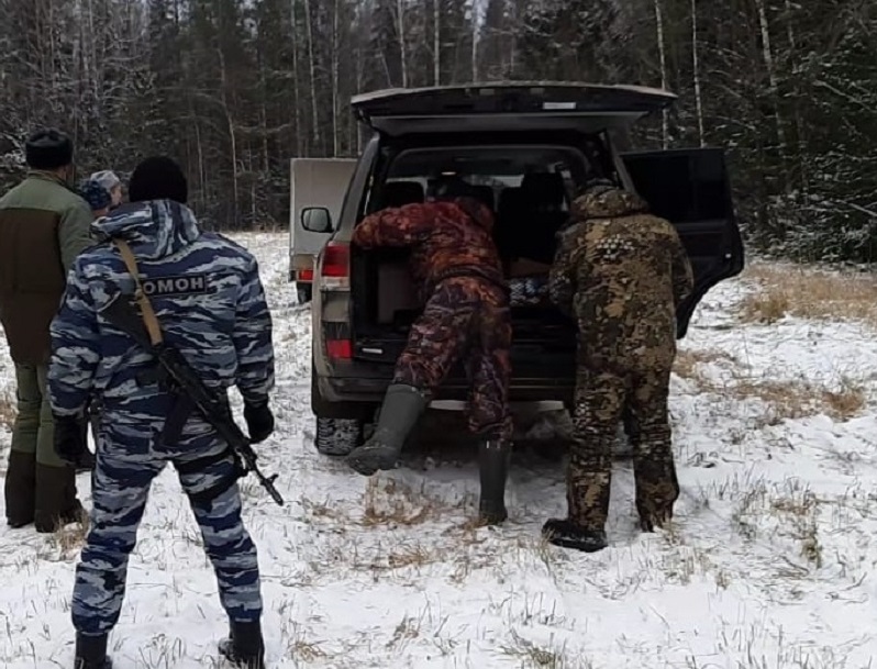 Минэкологии МО аннулировало охотничьи билеты двух жителей Подольска